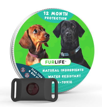 12 Months Flea and Tick Free