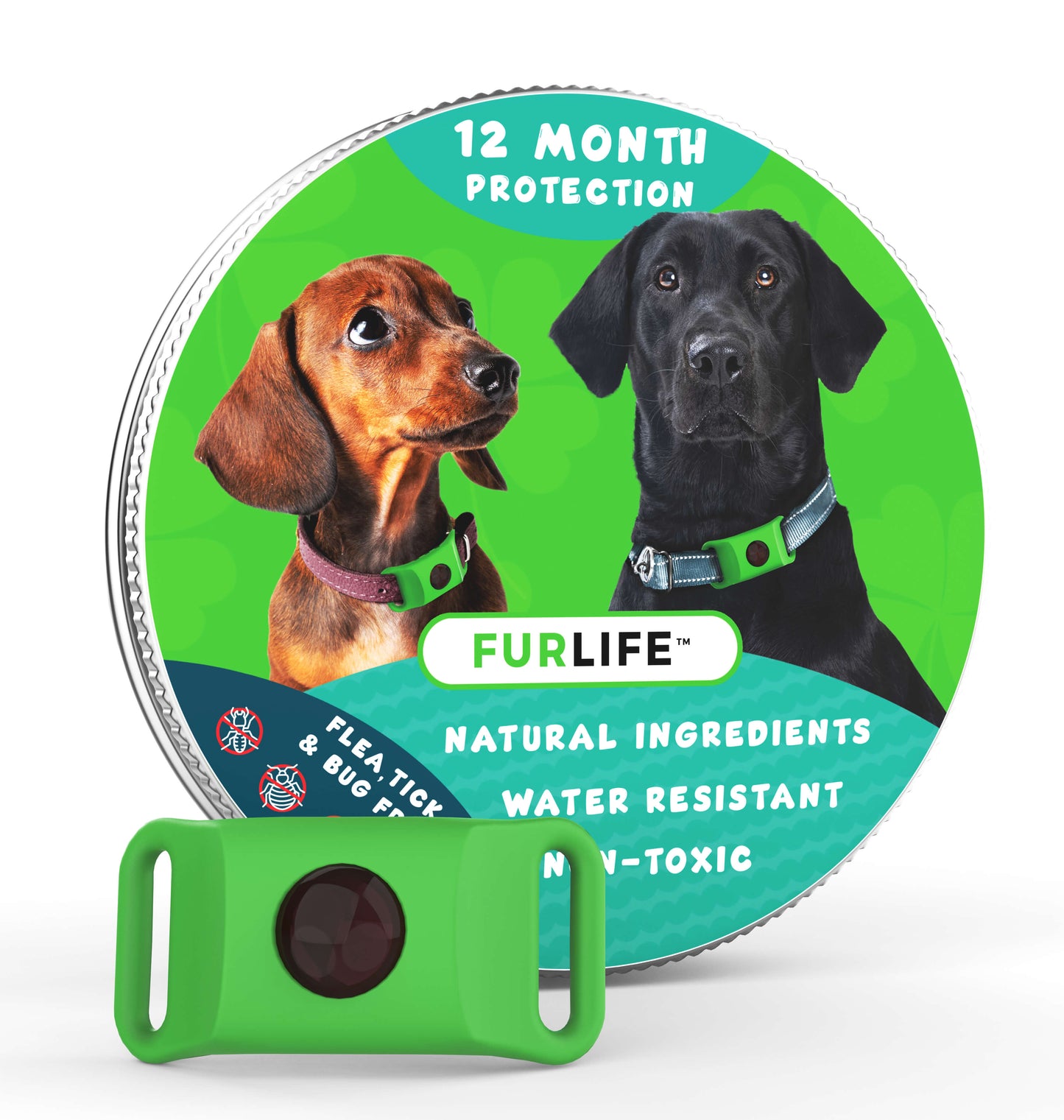 12 Months Flea and Tick Free