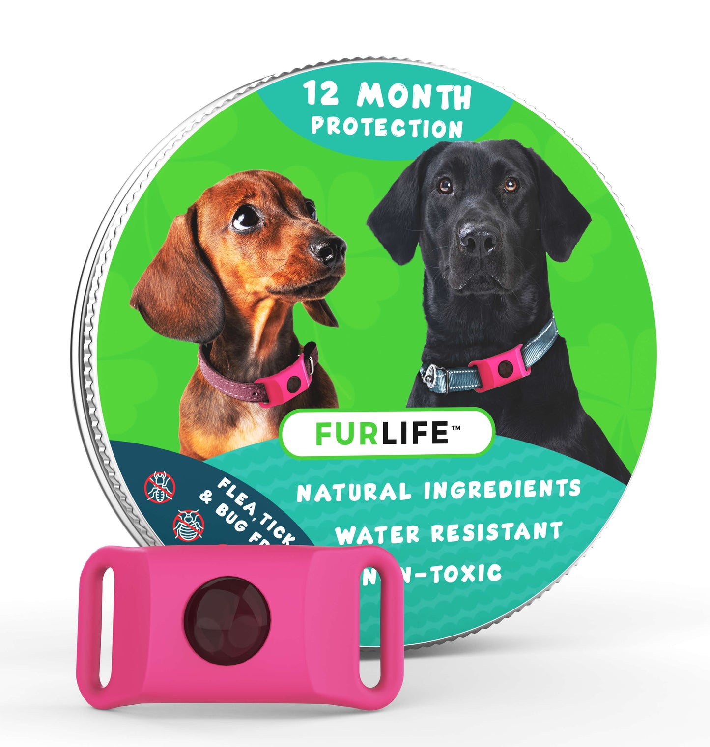 12 Months Flea and Tick Free