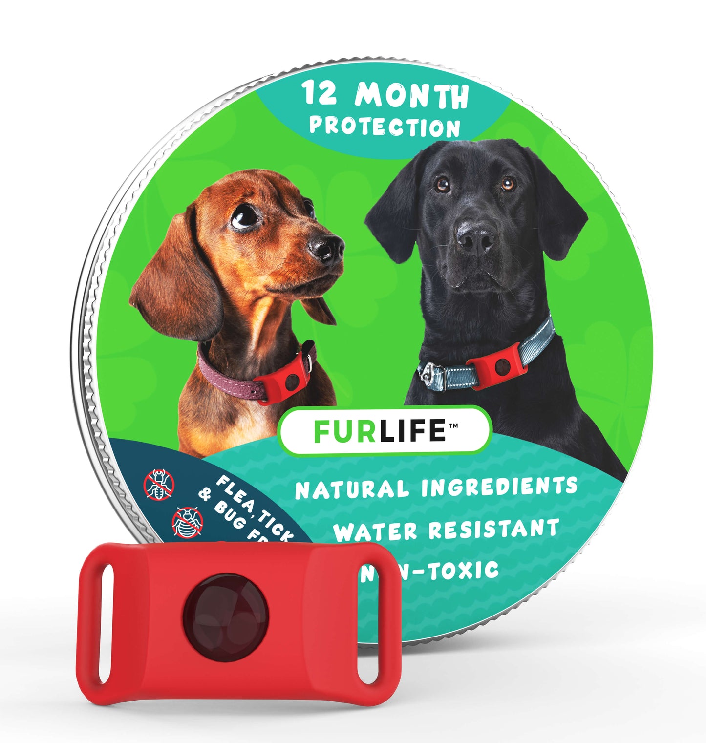 12 Months Flea and Tick Free