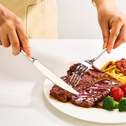316L Stainless Steel Cutlery Set
